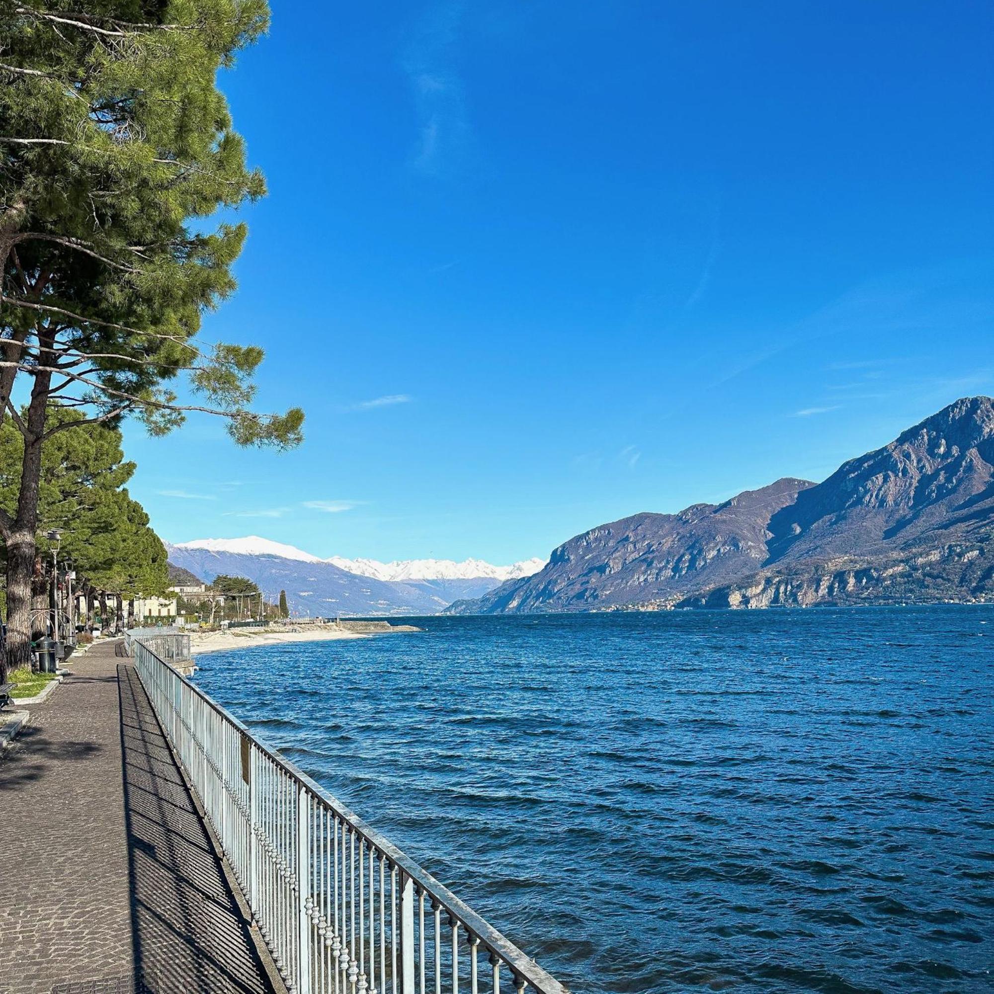 Renzo E Lucia Lake View Apartment Oliveto Lario Exteriör bild